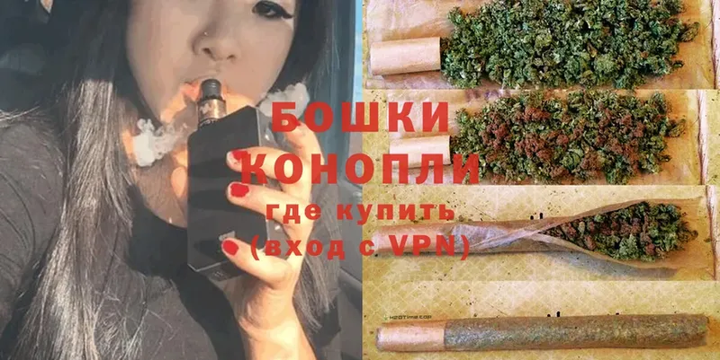 как найти закладки  Новозыбков  MEGA ONION  Марихуана White Widow 